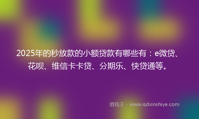 2025年的秒放款的小额贷款有哪些有：e微贷、花呗、维信卡卡贷、分期乐、快贷通等。