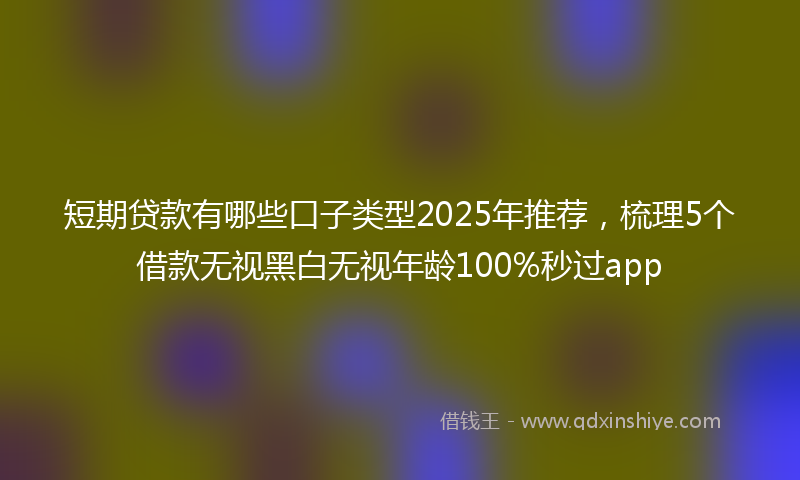 短期贷款有哪些口子类型2025年推荐，梳理5个借款无视黑白无视年龄100%秒过app
