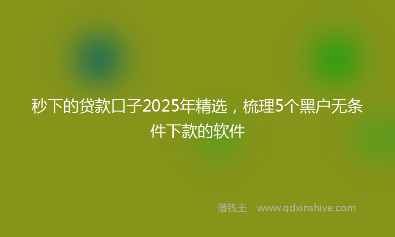 秒下的贷款口子2025年精选，梳理5个黑户无条件下款的软件