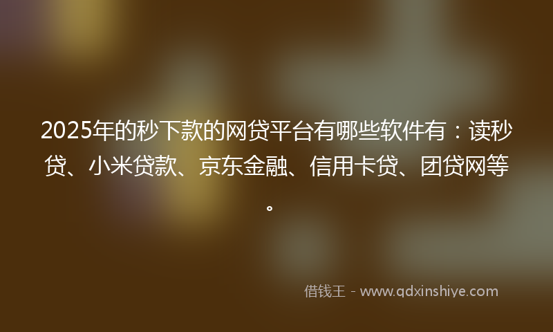 2025年的秒下款的网贷平台有哪些软件有：读秒贷、小米贷款、京东金融、信用卡贷、团贷网等。