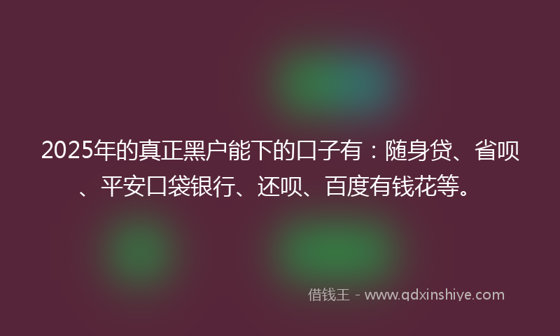 2025年的真正黑户能下的口子有:随身贷、省呗、平安口袋银行、还呗、百度有钱花等。