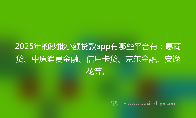 2025年的秒批小额贷款app有哪些平台有：惠商贷、中原消费金融、信用卡贷、京东金融、安逸花等。