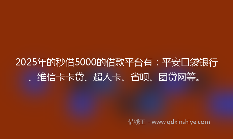 2025年的秒借5000的借款平台有：平安口袋银行、维信卡卡贷、超人卡、省呗、团贷网等。