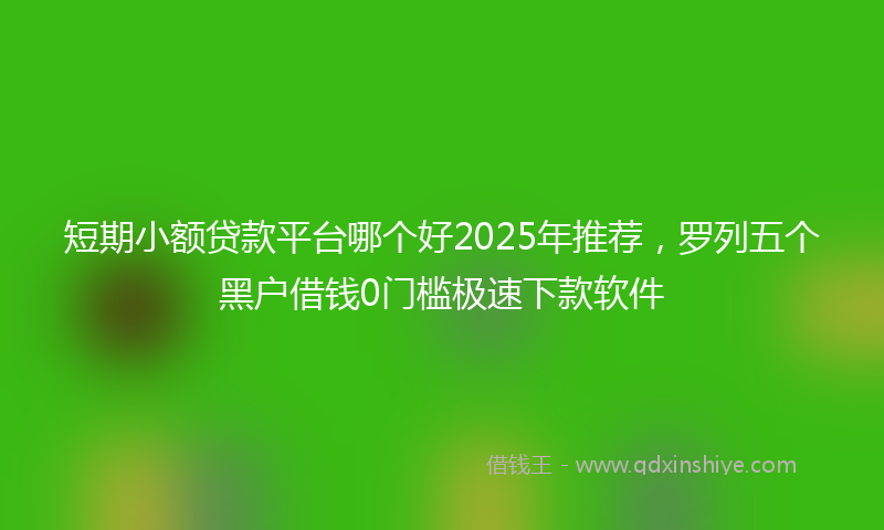 短期小额贷款平台哪个好2025年推荐，罗列五个黑户借钱0门槛极速下款软件