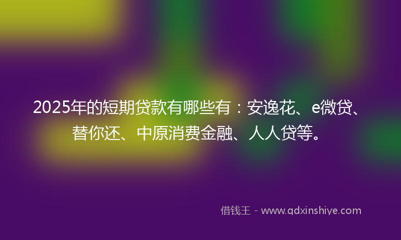 2025年的短期贷款有哪些有：安逸花、e微贷、替你还、中原消费金融、人人贷等。