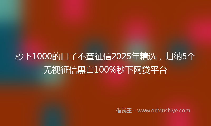 秒下1000的口子不查征信2025年精选，归纳5个无视征信黑白100%秒下网贷平台