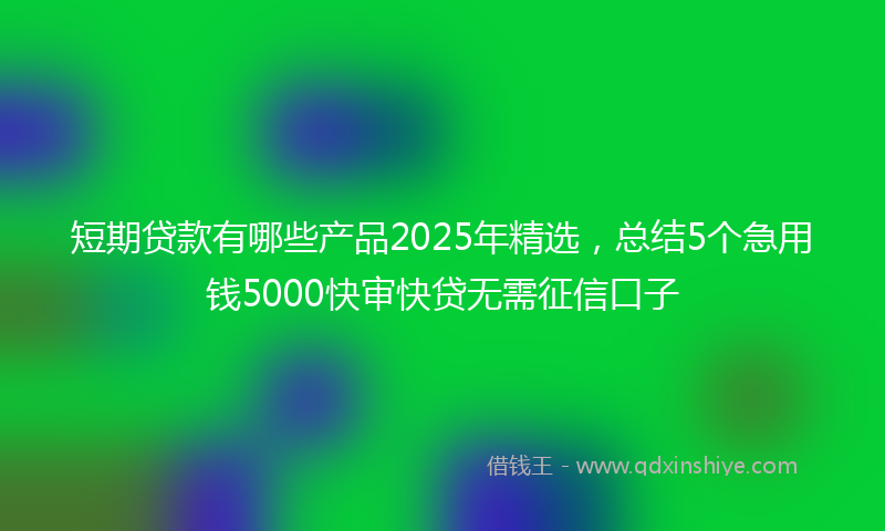 短期贷款有哪些产品2025年精选，总结5个急用钱5000快审快贷无需征信口子