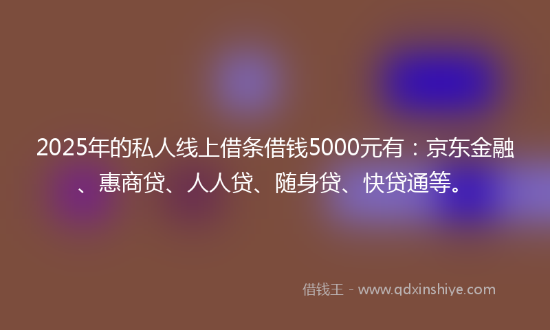 2025年的私人线上借条借钱5000元有：京东金融、惠商贷、人人贷、随身贷、快贷通等。