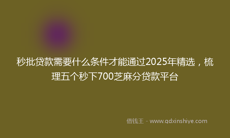 秒批贷款需要什么条件才能通过2025年精选，梳理五个秒下700芝麻分贷款平台