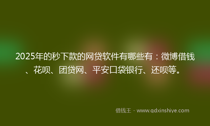 2025年的秒下款的网贷软件有哪些有：微博借钱、花呗、团贷网、平安口袋银行、还呗等。