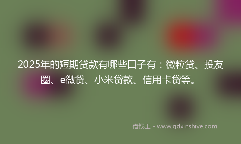 2025年的短期贷款有哪些口子有：微粒贷、投友圈、e微贷、小米贷款、信用卡贷等。