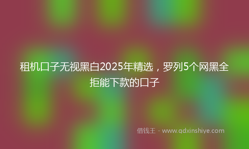 租机口子无视黑白2025年精选，罗列5个网黑全拒能下款的口子