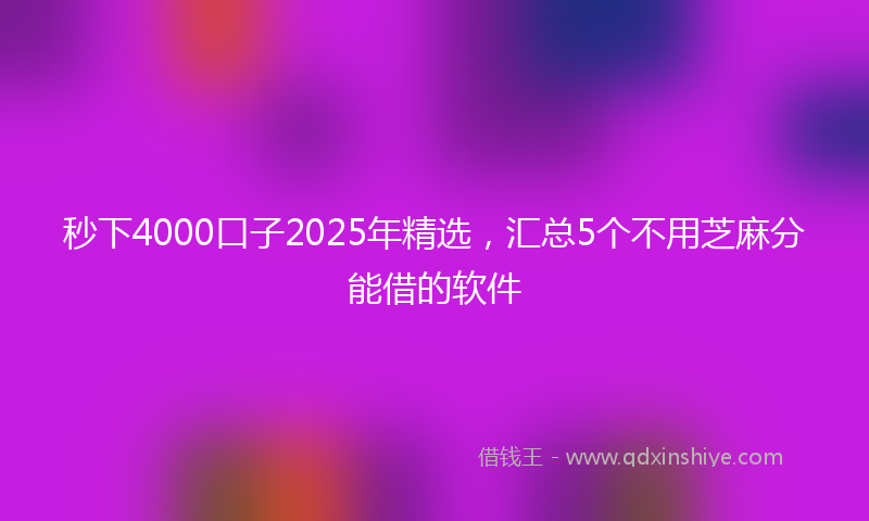 秒下4000口子2025年精选，汇总5个不用芝麻分能借的软件