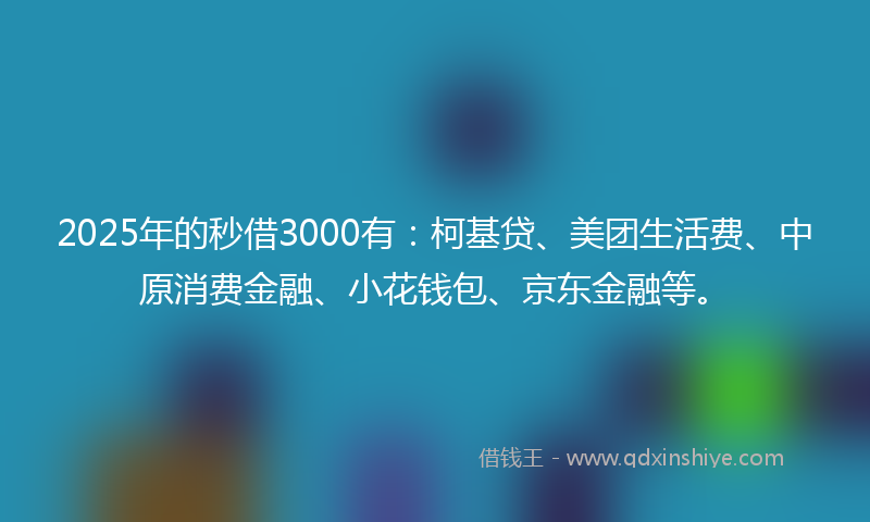 2025年的秒借3000有：柯基贷、美团生活费、中原消费金融、小花钱包、京东金融等。