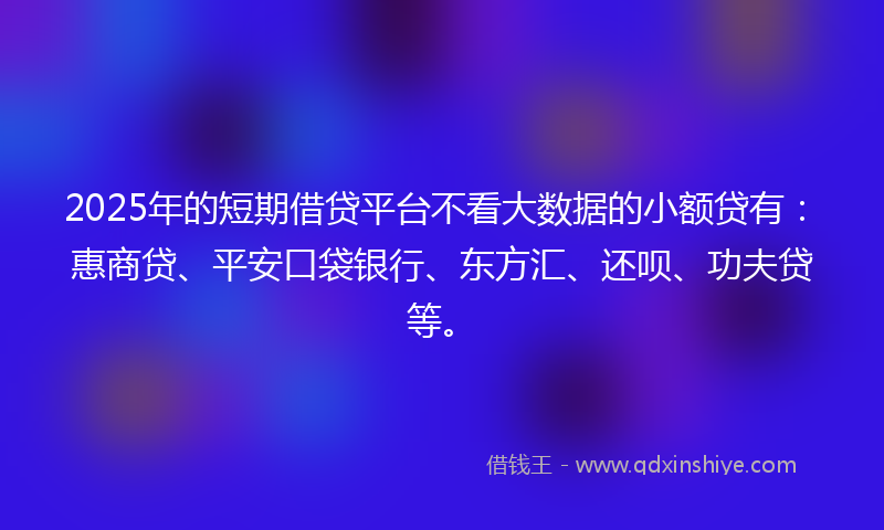 2025年的短期借贷平台不看大数据的小额贷有：惠商贷、平安口袋银行、东方汇、还呗、功夫贷等。