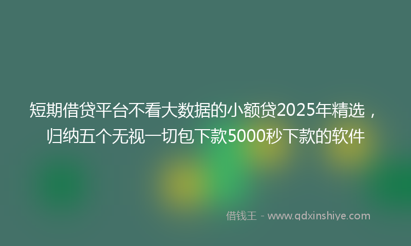 短期借贷平台不看大数据的小额贷2025年精选，归纳五个无视一切包下款5000秒下款的软件