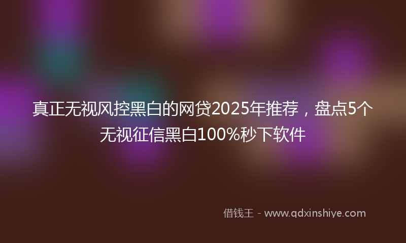 真正无视风控黑白的网贷2025年推荐，盘点5个无视征信黑白100%秒下软件
