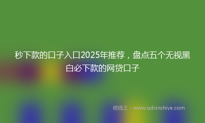 秒下款的口子入口2025年推荐，盘点五个无视黑白必下款的网贷口子