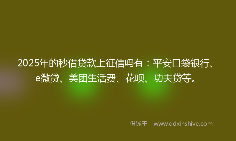 2025年的秒借贷款上征信吗有：平安口袋银行、e微贷、美团生活费、花呗、功夫贷等。