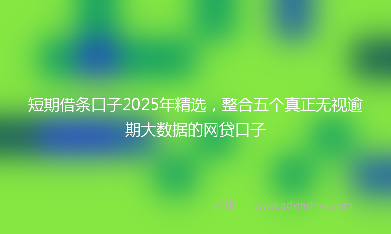 短期借条口子2025年精选，整合五个真正无视逾期大数据的网贷口子