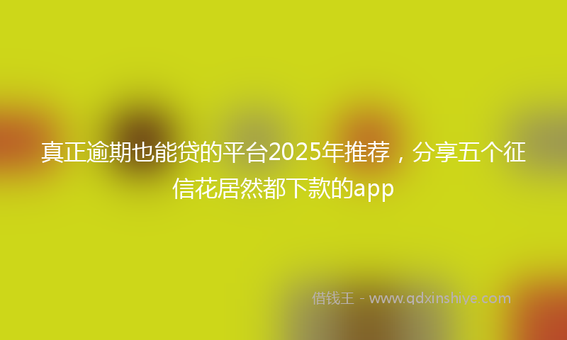 真正逾期也能贷的平台2025年推荐，分享五个征信花居然都下款的app
