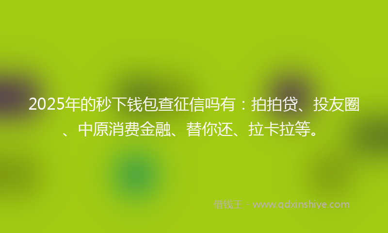 2025年的秒下钱包查征信吗有：拍拍贷、投友圈、中原消费金融、替你还、拉卡拉等。