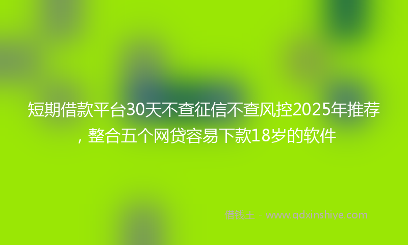 短期借款平台30天不查征信不查风控2025年推荐，整合五个网贷容易下款18岁的软件