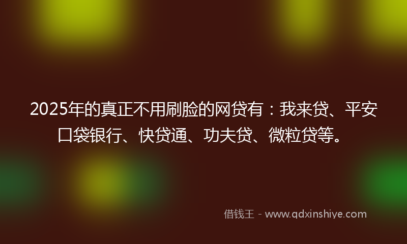 2025年的真正不用刷脸的网贷有：我来贷、平安口袋银行、快贷通、功夫贷、微粒贷等。