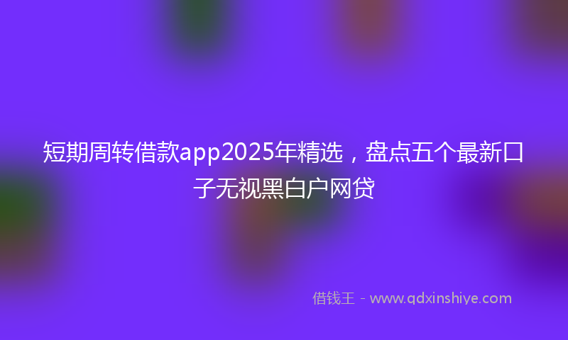 短期周转借款app2025年精选，盘点五个最新口子无视黑白户网贷