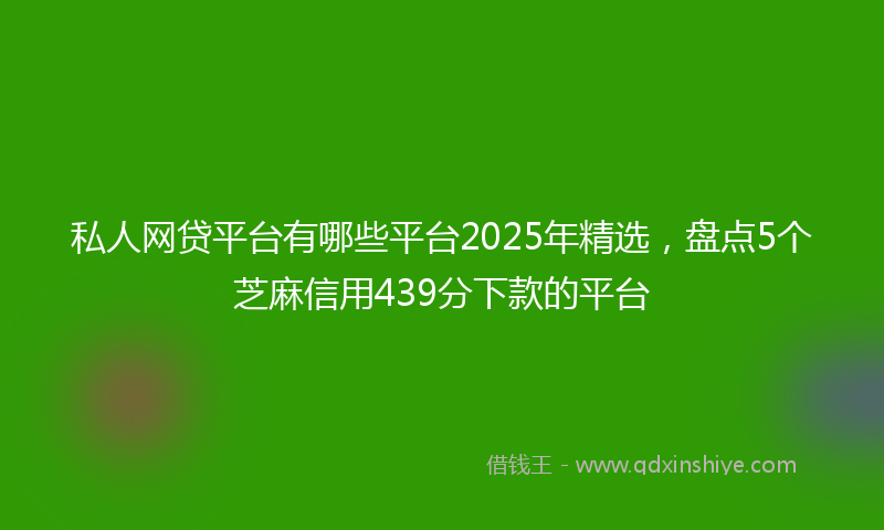 私人网贷平台有哪些平台2025年精选，盘点5个芝麻信用439分下款的平台