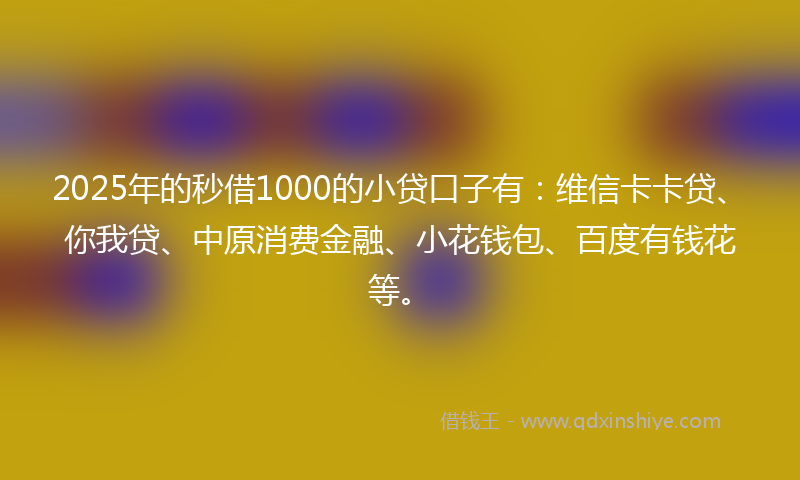 2025年的秒借1000的小贷口子有：维信卡卡贷、你我贷、中原消费金融、小花钱包、百度有钱花等。