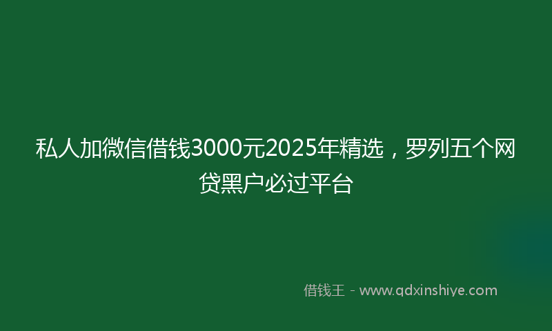私人加微信借钱3000元2025年精选，罗列五个网贷黑户必过平台