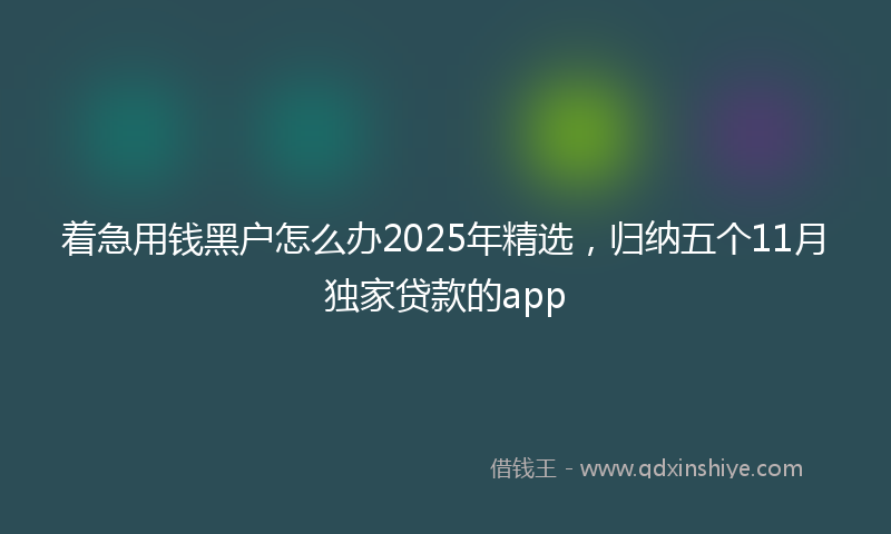 着急用钱黑户怎么办2025年精选,归纳五个11月独家贷款的app