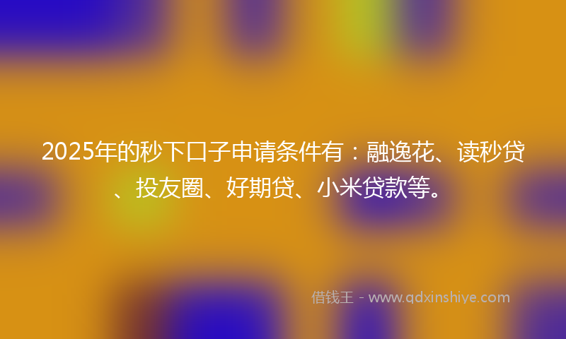 2025年的秒下口子申请条件有：融逸花、读秒贷、投友圈、好期贷、小米贷款等。