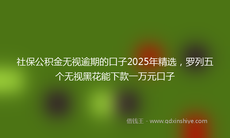 社保公积金无视逾期的口子2025年精选，罗列五个无视黑花能下款一万元口子