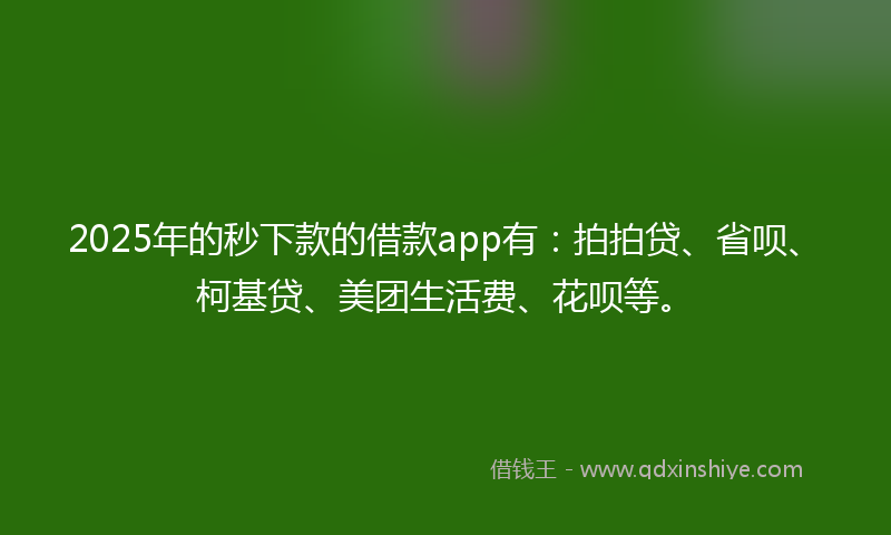 2025年的秒下款的借款app有：拍拍贷、省呗、柯基贷、美团生活费、花呗等。