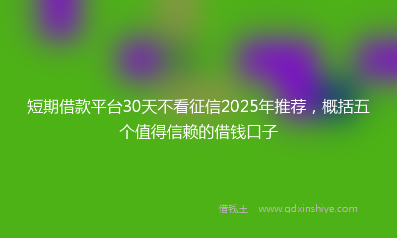 短期借款平台30天不看征信2025年推荐,概括五个值得信赖的借钱口子