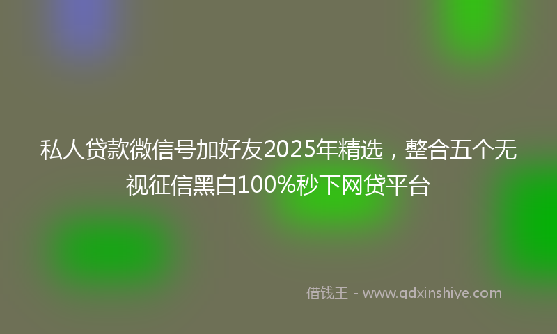 私人贷款微信号加好友2025年精选，整合五个无视征信黑白100%秒下网贷平台