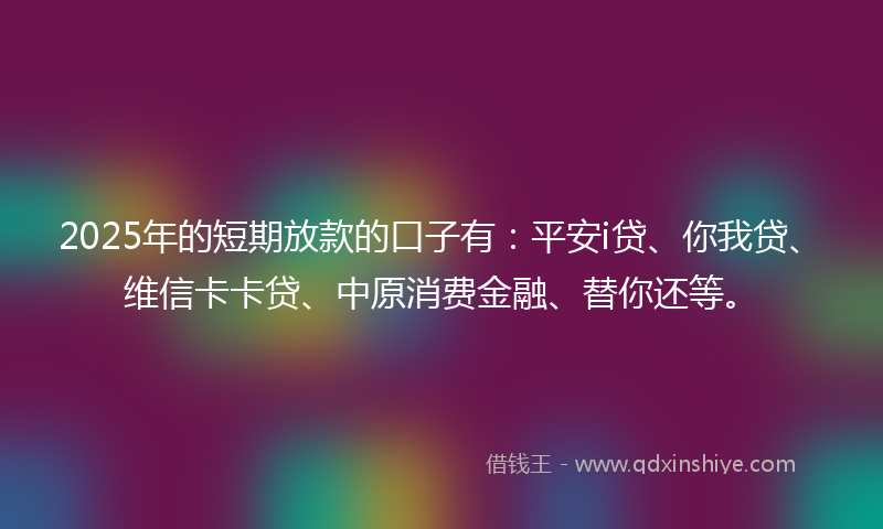 2025年的短期放款的口子有：平安i贷、你我贷、维信卡卡贷、中原消费金融、替你还等。