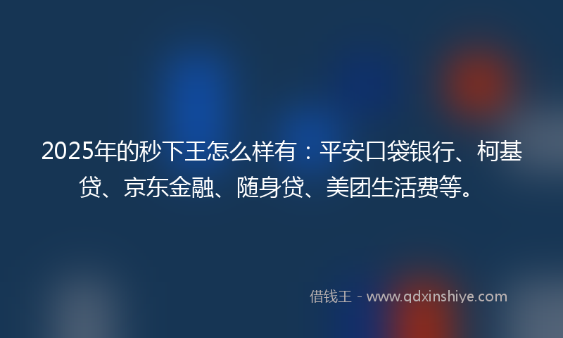 2025年的秒下王怎么样有：平安口袋银行、柯基贷、京东金融、随身贷、美团生活费等。
