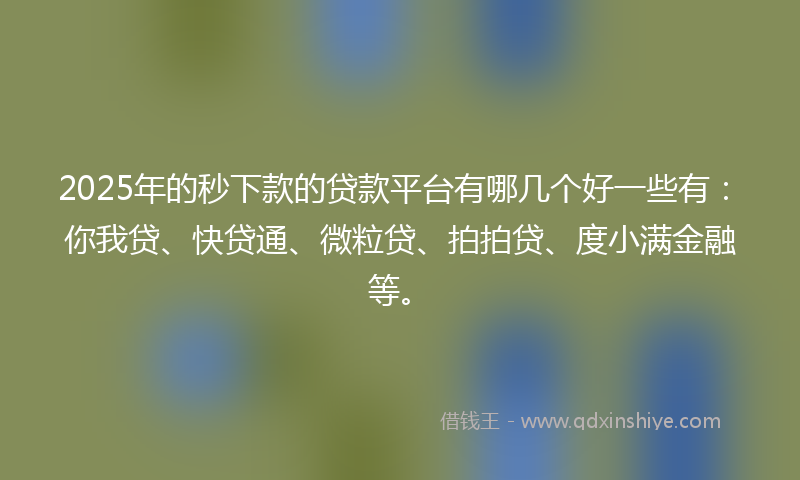2025年的秒下款的贷款平台有哪几个好一些有：你我贷、快贷通、微粒贷、拍拍贷、度小满金融等。