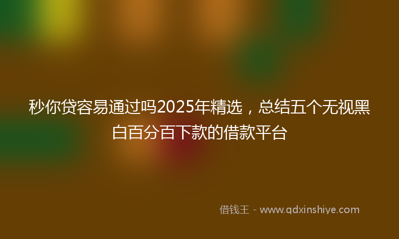 秒你贷容易通过吗2025年精选，总结五个无视黑白百分百下款的借款平台