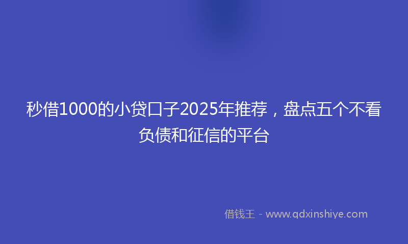 秒借1000的小贷口子2025年推荐，盘点五个不看负债和征信的平台