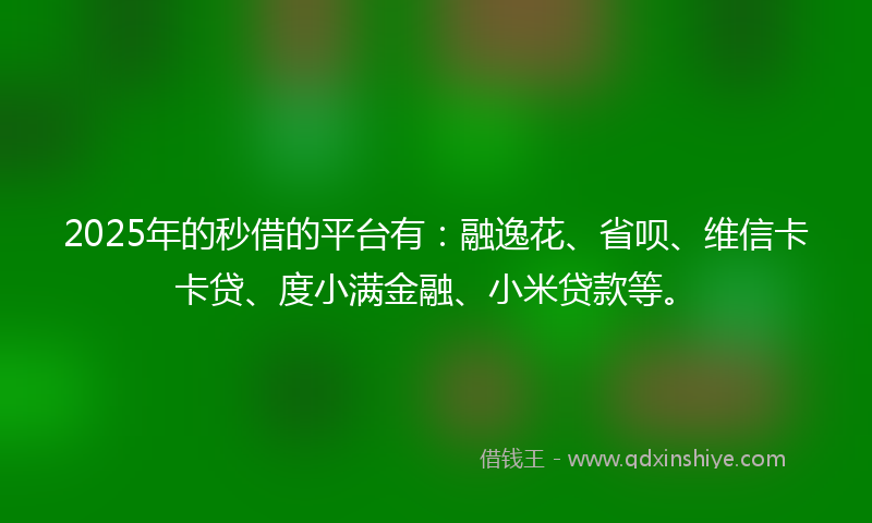 2025年的秒借的平台有：融逸花、省呗、维信卡卡贷、度小满金融、小米贷款等。