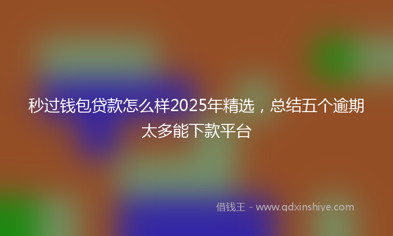 秒过钱包贷款怎么样2025年精选，总结五个逾期太多能下款平台