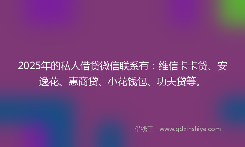 2025年的私人借贷微信联系有：维信卡卡贷、安逸花、惠商贷、小花钱包、功夫贷等。