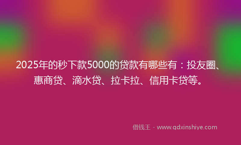 2025年的秒下款5000的贷款有哪些有：投友圈、惠商贷、滴水贷、拉卡拉、信用卡贷等。