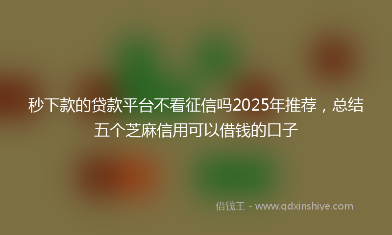 秒下款的贷款平台不看征信吗2025年推荐，总结五个芝麻信用可以借钱的口子