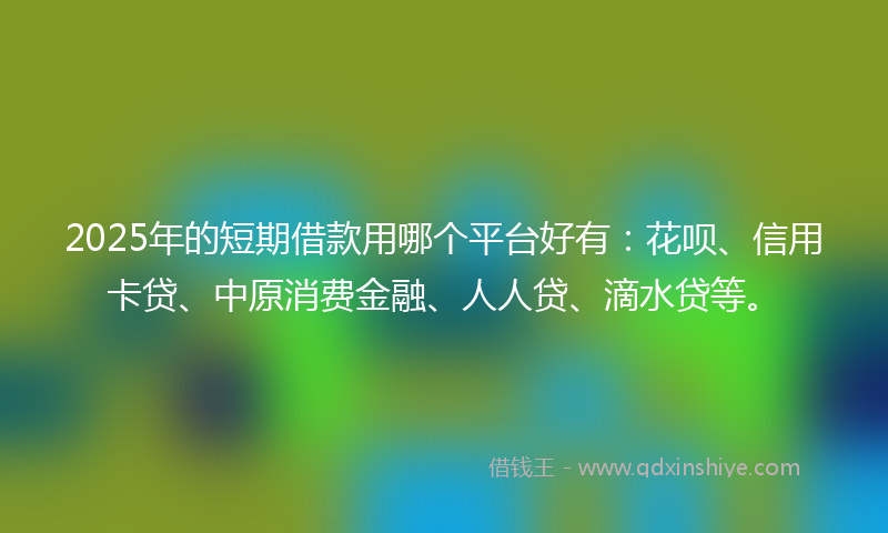 2025年的短期借款用哪个平台好有：花呗、信用卡贷、中原消费金融、人人贷、滴水贷等。