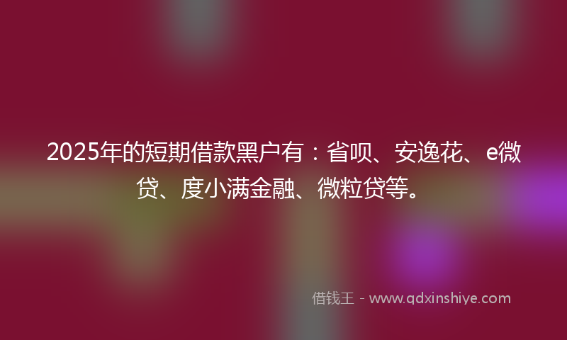 2025年的短期借款黑户有：省呗、安逸花、e微贷、度小满金融、微粒贷等。